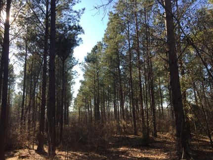 Property in Kershaw County, South Carolina