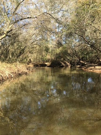 Property in Coffee County, Alabama
