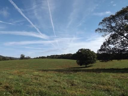 Property in Blount County, Alabama