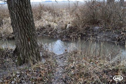 Property in Clark County, Illinois