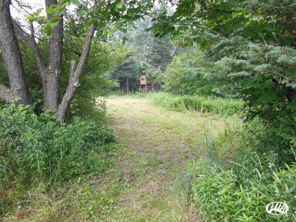 Property in Marathon County, Wisconsin