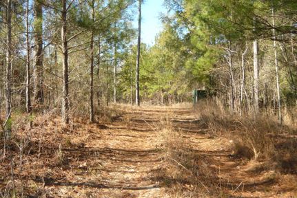 Property in Covington County, Alabama