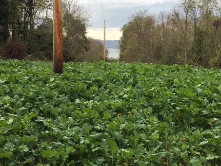 Property in Adams County, Ohio