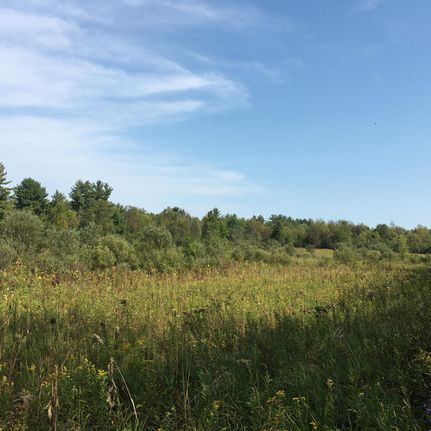 Property in New York County, New York