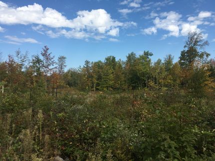 Property in Saint Lawrence County, New York