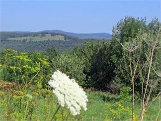 Property in Schoharie County, New York