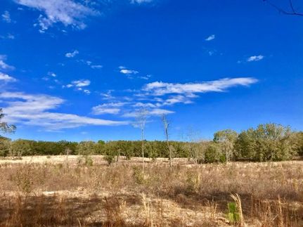 Property in Gilchrist County, Florida