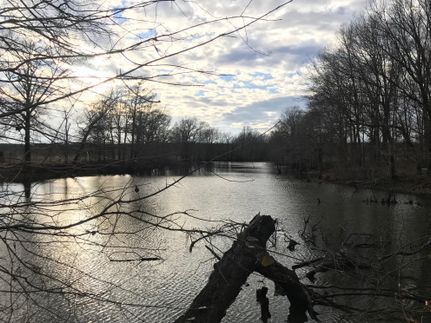 Property in White County, Arkansas