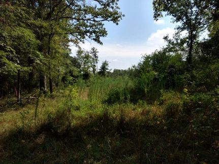 Property in Chatham County, North Carolina