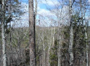 Property in Monroe County, Tennessee