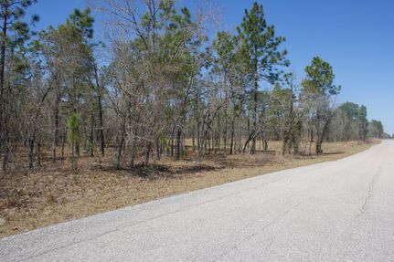 Property in Levy County, Florida