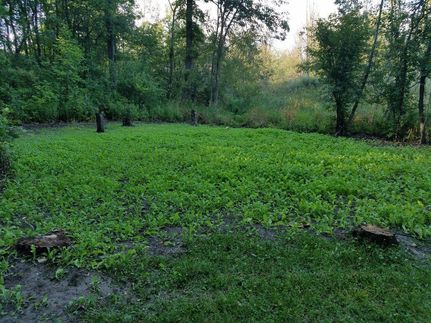 Property in Clinton County, Michigan