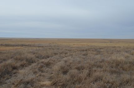 Property in Prowers County, Colorado