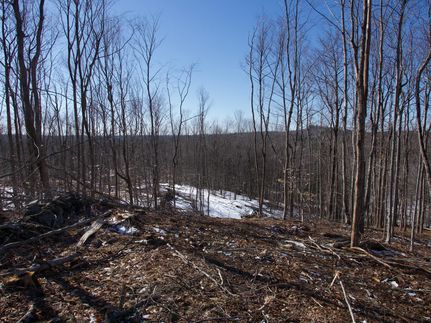 Property in Sagadahoc County, Maine