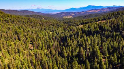 Property in Adams County, Idaho