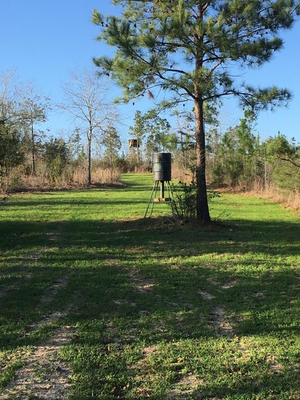 Property in Covington County, Alabama