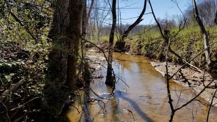 Property in Greenville County, South Carolina