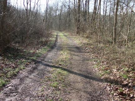 Property in Carter County, Kentucky