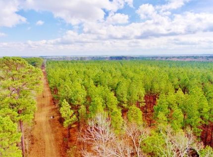 Property in DeSoto Parish, Louisiana