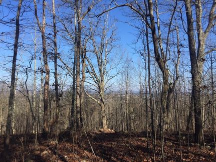 Property in Saint Clair County, Alabama