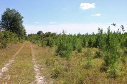 Property in Barnwell County, South Carolina