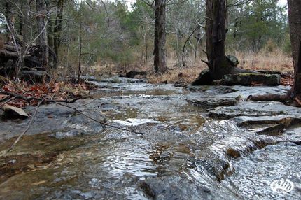 Property in Marion County, Arkansas