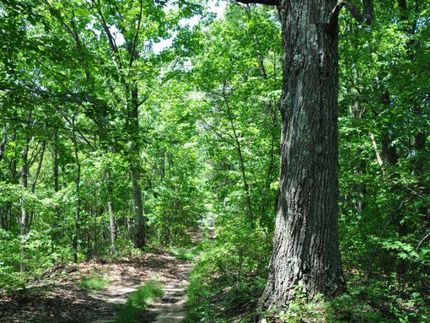 Property in Kanawha County, West Virginia