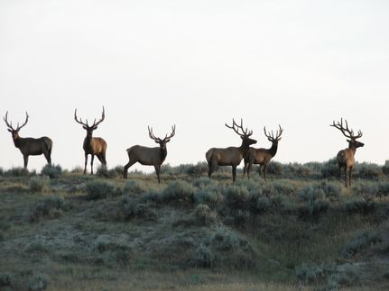 Property in Weston County, Wyoming