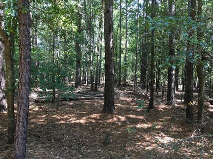 Property in Barnwell County, South Carolina