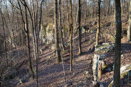 Property in Blount County, Alabama