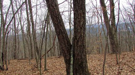 Property in Schoharie County, New York