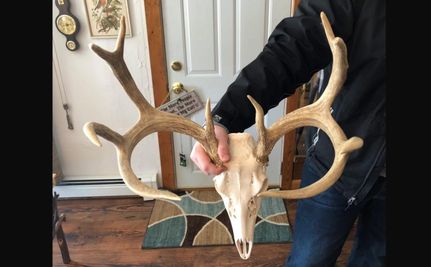 Property in Crawford County, Wisconsin