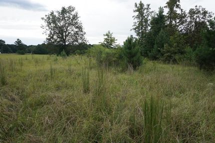 Property in Greene County, Alabama