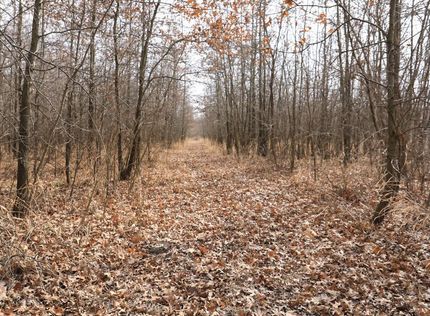 Property in Macon County, Missouri