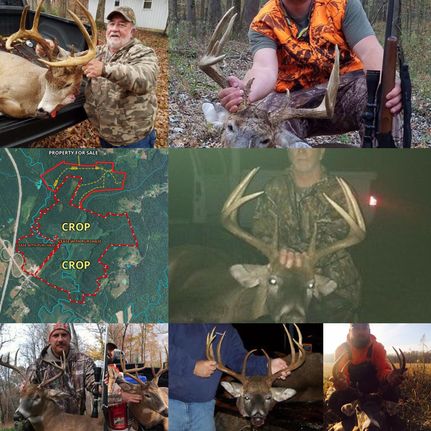 Property in Butler County, Kentucky