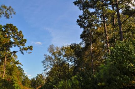 Property in Liberty County, Texas