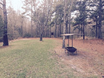 Property in Worth County, Georgia