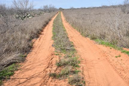Property in Dimmit County, Texas