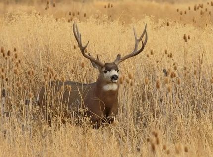 Property in Klamath County, Oregon