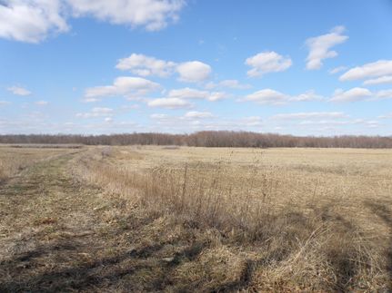 Property in Shelby County, Missouri