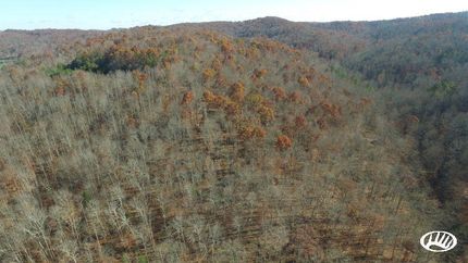 Property in Rockcastle County, Kentucky