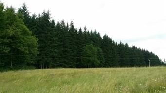 Property in Pierce County, Washington