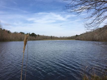 Property in Chambers County, Alabama