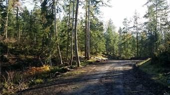 Property in Pierce County, Washington