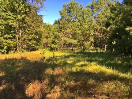 Property in Clarke County, Alabama