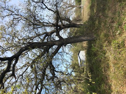 Property in Milam County, Texas