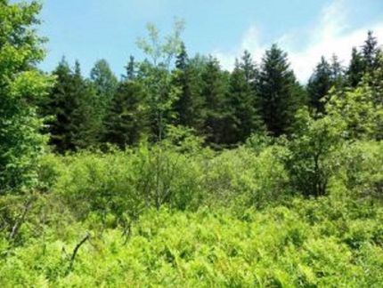 Property in Otsego County, New York