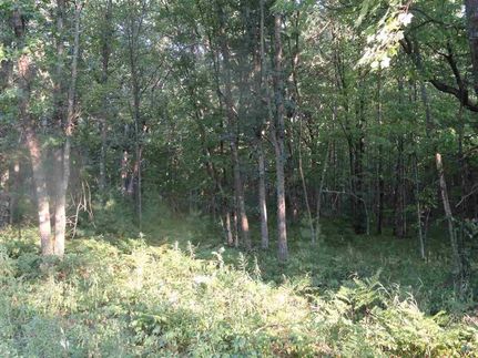 Property in Waupaca County, Wisconsin