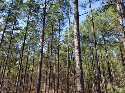 Property in Hot Spring County, Arkansas