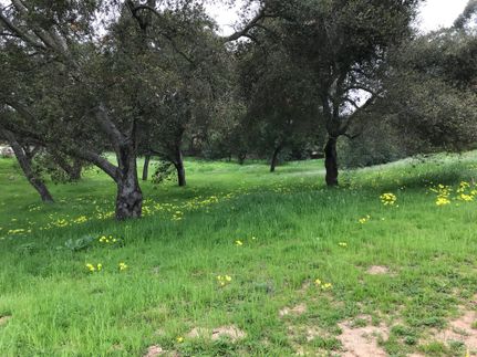 Property in Santa Barbara County, California